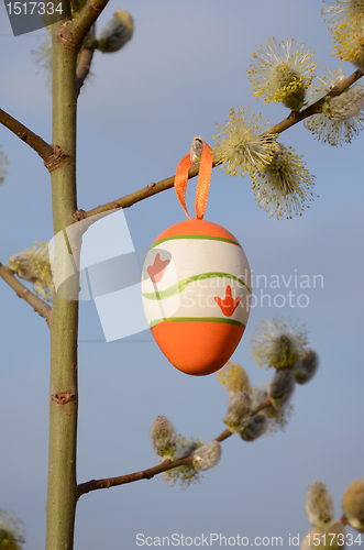 Image of Easter egg hanging on pussy-willow branch.