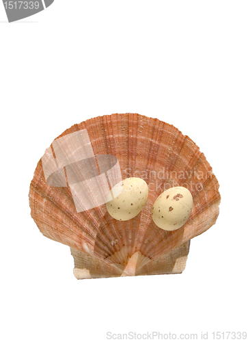 Image of Easter eggs on the sea shell