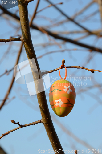 Image of Easter egg on tree branch