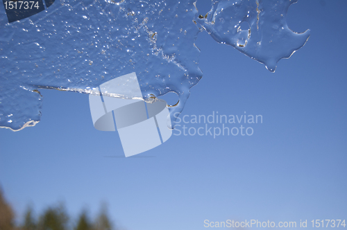 Image of ice crystals 