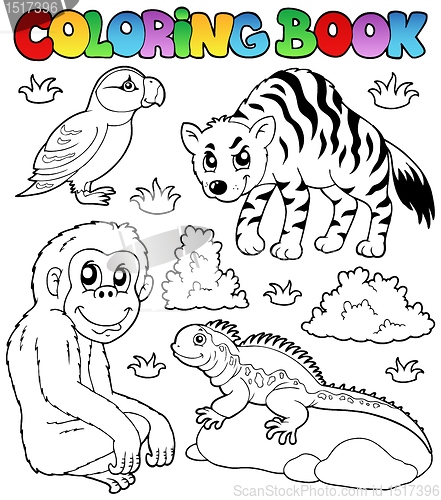 Image of Coloring book zoo animals set 2