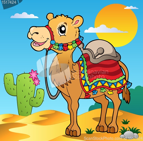 Image of Desert scene with camel