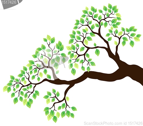 Image of Tree branch with green leaves 1