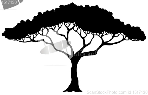 Image of Tropical tree silhouette