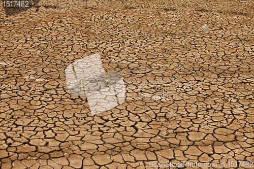 Image of Dry and cracked earth