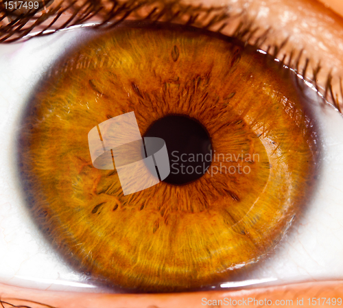 Image of Human eye close up ...