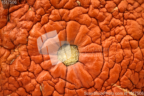 Image of Background from an old pumpkin