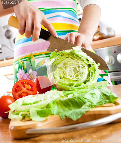 Image of Woman's hands cutting vegetables