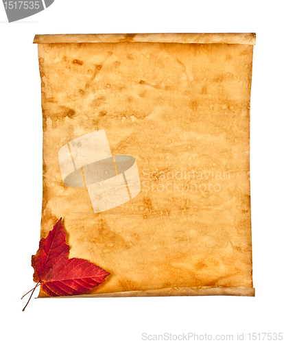 Image of Old paper with autumn leaves, autumn note