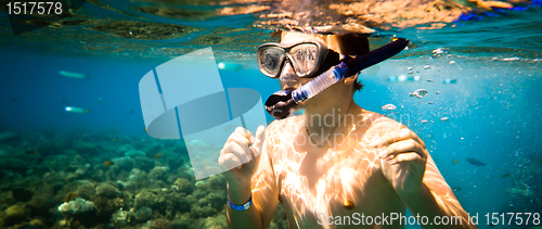 Image of Snorkeler. Red sea