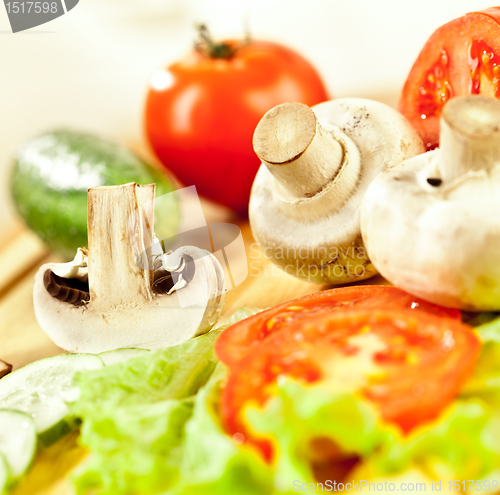 Image of mushroom champignon