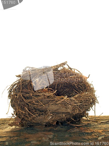 Image of Nest