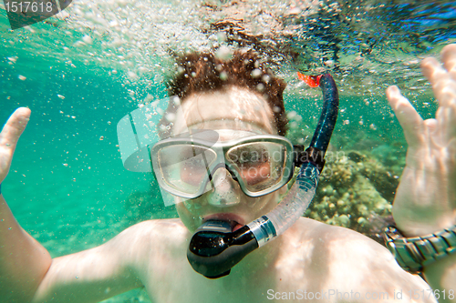 Image of Snorkeler. Red sea