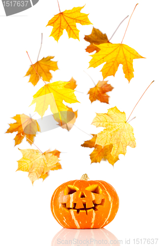 Image of halloween, old jack-o-lantern on white