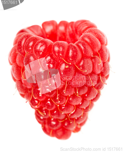 Image of raspberry