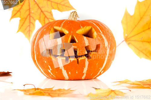 Image of halloween, old jack-o-lantern on white