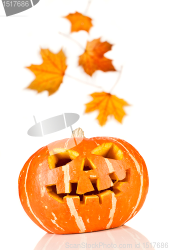 Image of halloween, old jack-o-lantern on white