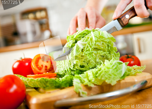 Image of Woman's hands cutting vegetables