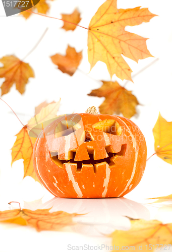Image of halloween, old jack-o-lantern on white