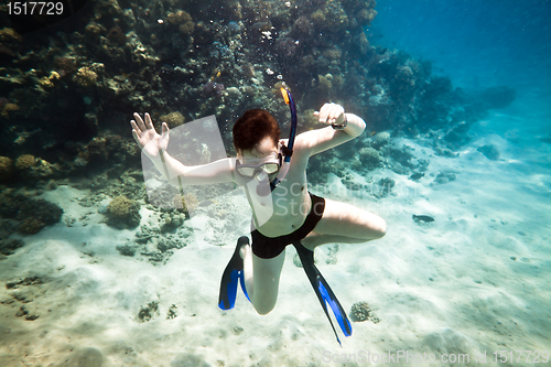 Image of Snorkeler. Red sea