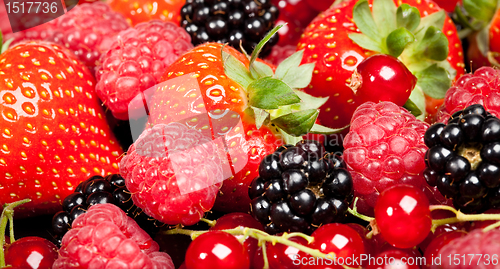 Image of berrys