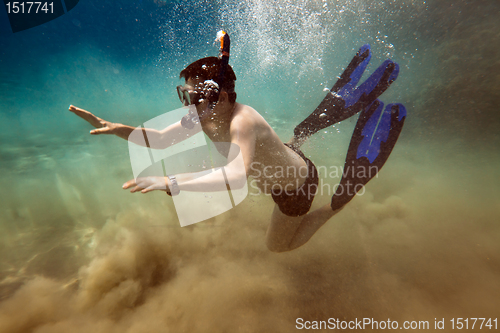 Image of Snorkeler. Red sea