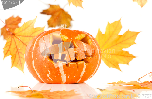 Image of halloween, old jack-o-lantern on white