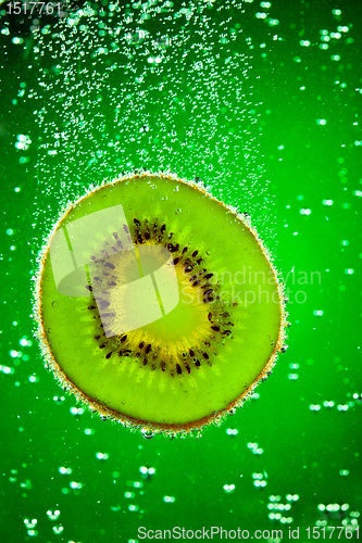 Image of kiwi in water