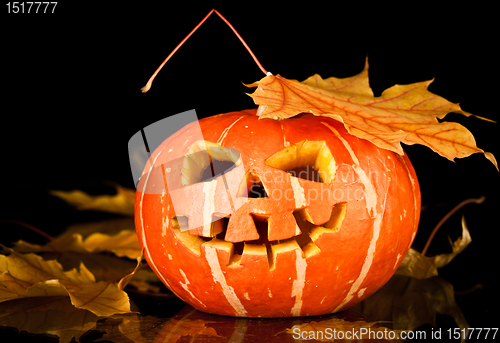 Image of halloween, old jack-o-lantern on black