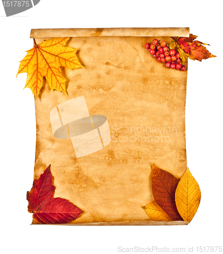 Image of Old paper with autumn leaves, autumn note