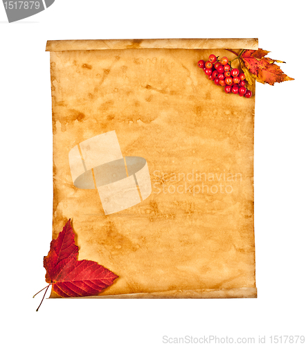 Image of Old paper with autumn leaves, autumn note