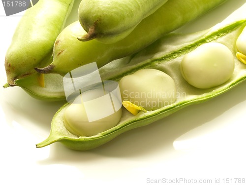 Image of Broad Beans