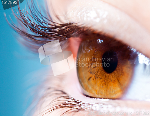 Image of Human eyelashes close up.