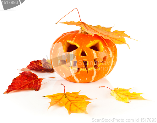 Image of halloween, old jack-o-lantern on white