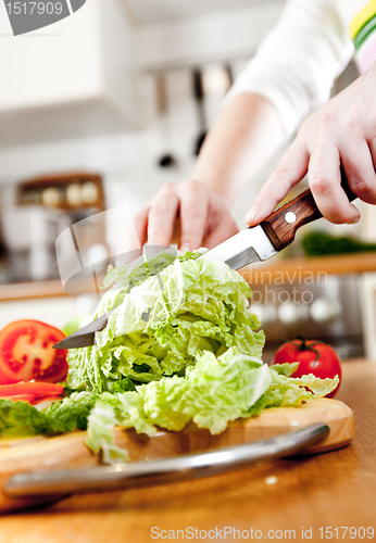 Image of Woman's hands cutting vegetables