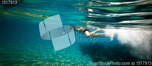 Image of Snorkeler. Red sea