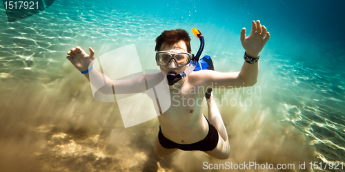 Image of Snorkeler. Red sea