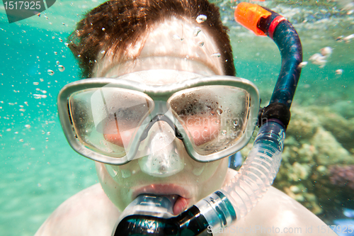 Image of Snorkeler.  Red sea