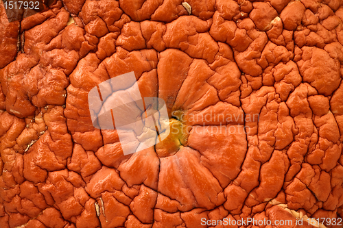 Image of Background from an old pumpkin