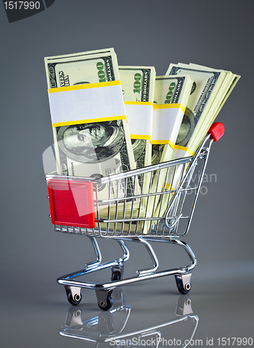Image of shopping cart and money