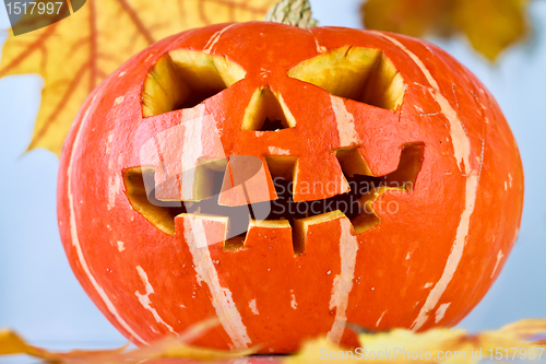 Image of halloween, old jack-o-lantern on blue