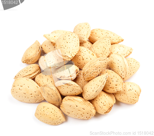 Image of almond nut