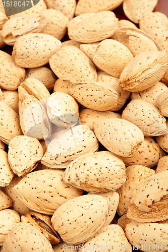 Image of almond nut