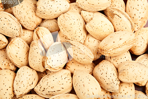 Image of almond nut with shell