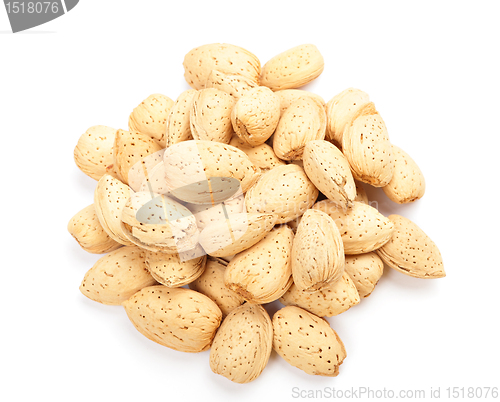 Image of almond nut