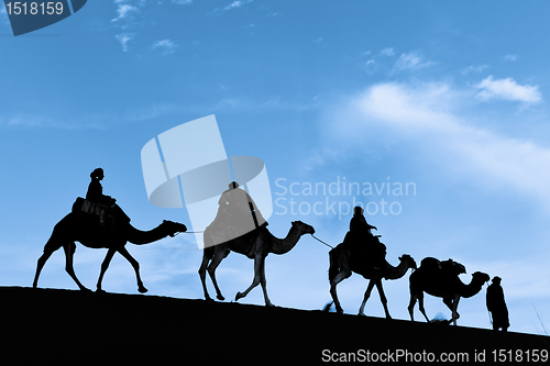 Image of Silhouette of Camel Caravan in the Sahara Desert