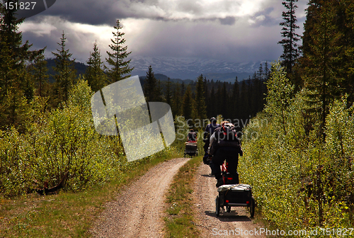 Image of Bicycling through the wilderness