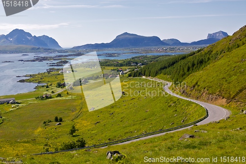 Image of Green Lofoten