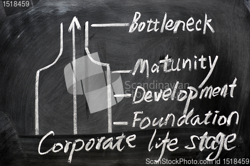 Image of Corporate life stage analysis