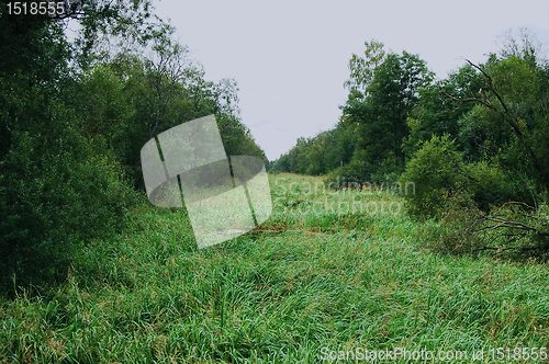 Image of Grass-grown channel